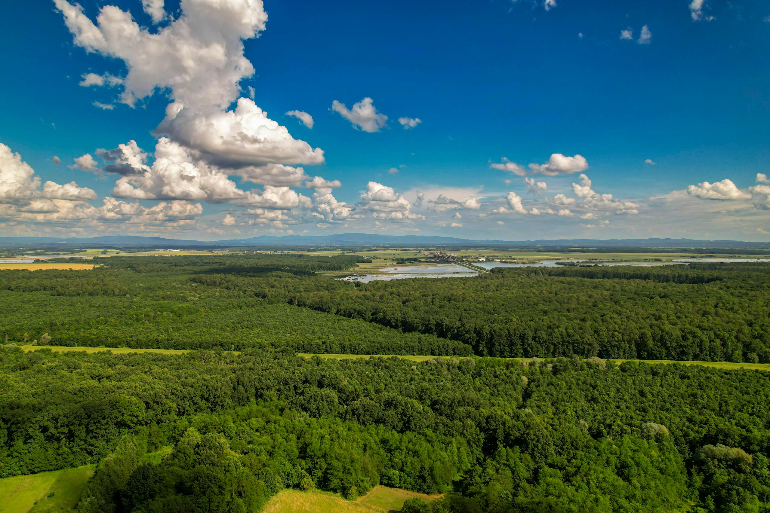 Breathtaking aerial view of lush green forests under a bright blue sky in Garešnica, Croatia.